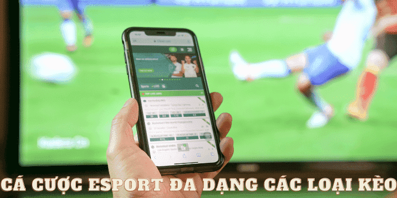 Cá cược Esport đa dạng kèo