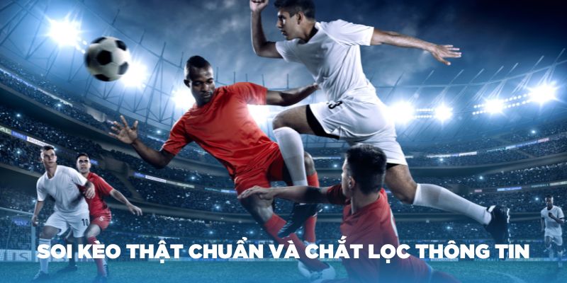 Thành viên nên soi kèo thật chuẩn và chắt lọc thông tin