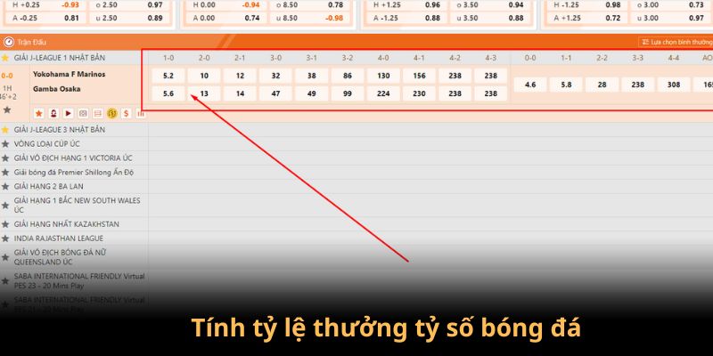 Tính tỷ lệ ăn thưởng tỷ số bóng đá tại CK8